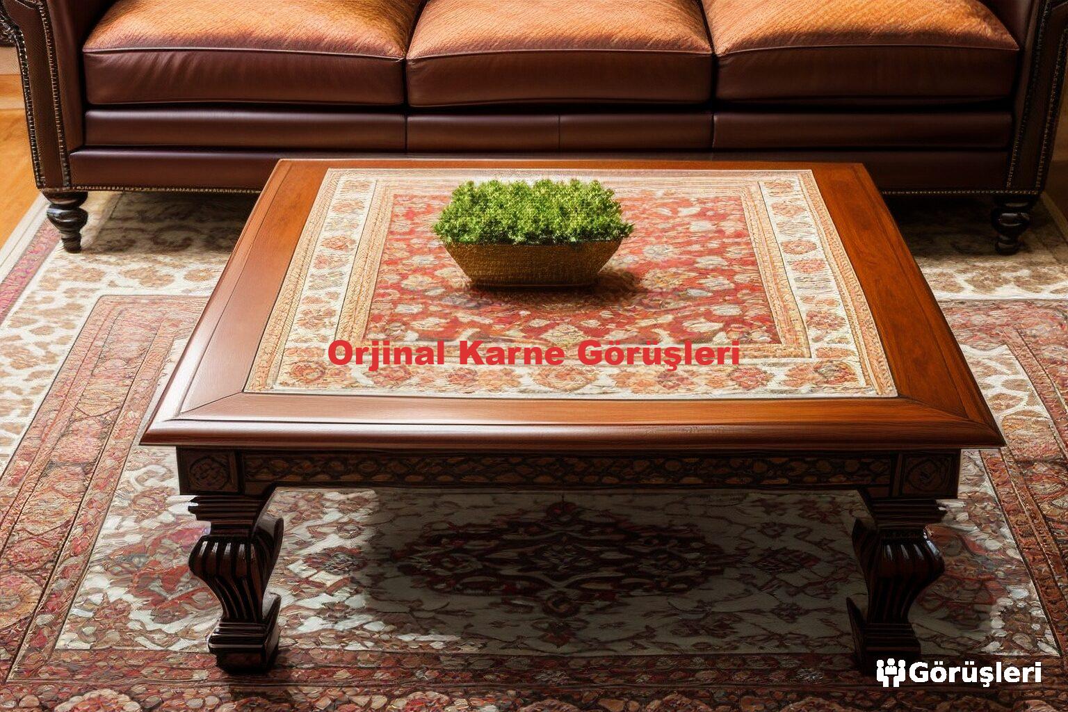 Orjinal Karne Görüşleri