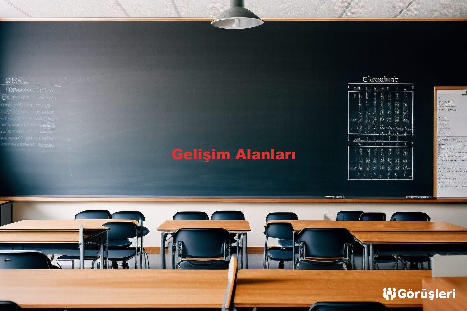 Gelişim Alanları