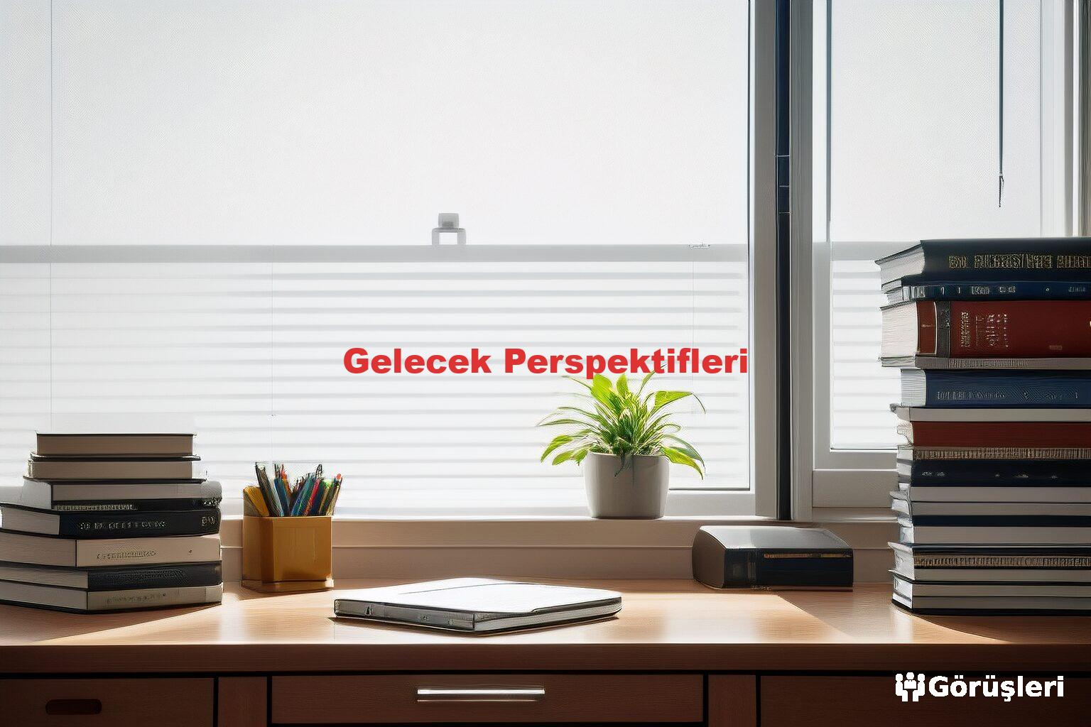 Gelecek Perspektifleri