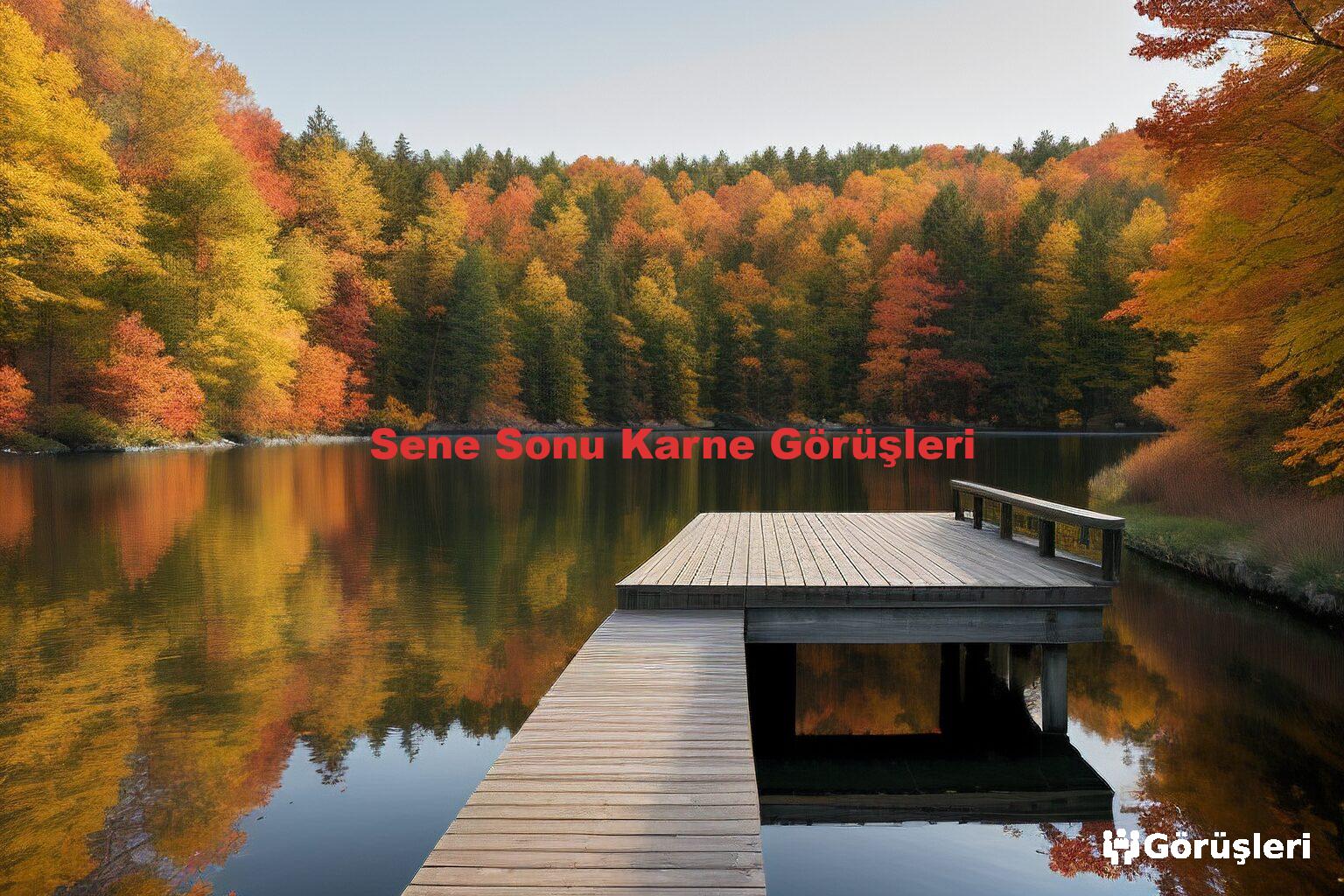 Sene Sonu Karne Görüşleri