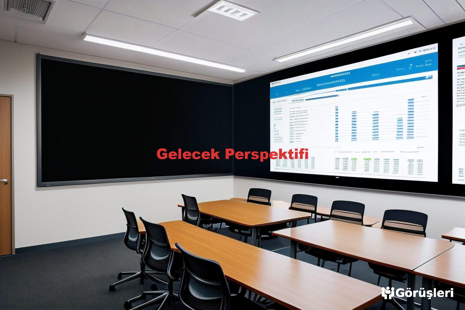 Gelecek Perspektifi