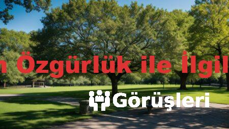 Filozofların Özgürlük ile İlgili Görüşleri