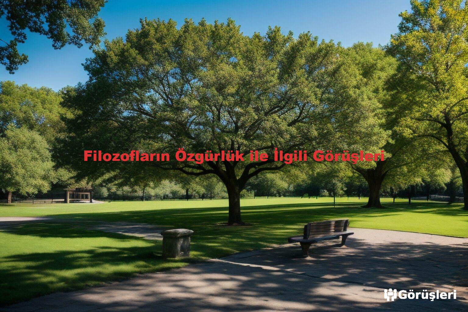 Filozofların Özgürlük ile İlgili Görüşleri