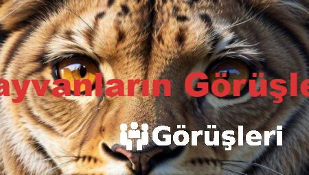 Hayvanların Görüşleri