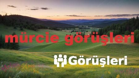 mürcie görüşleri