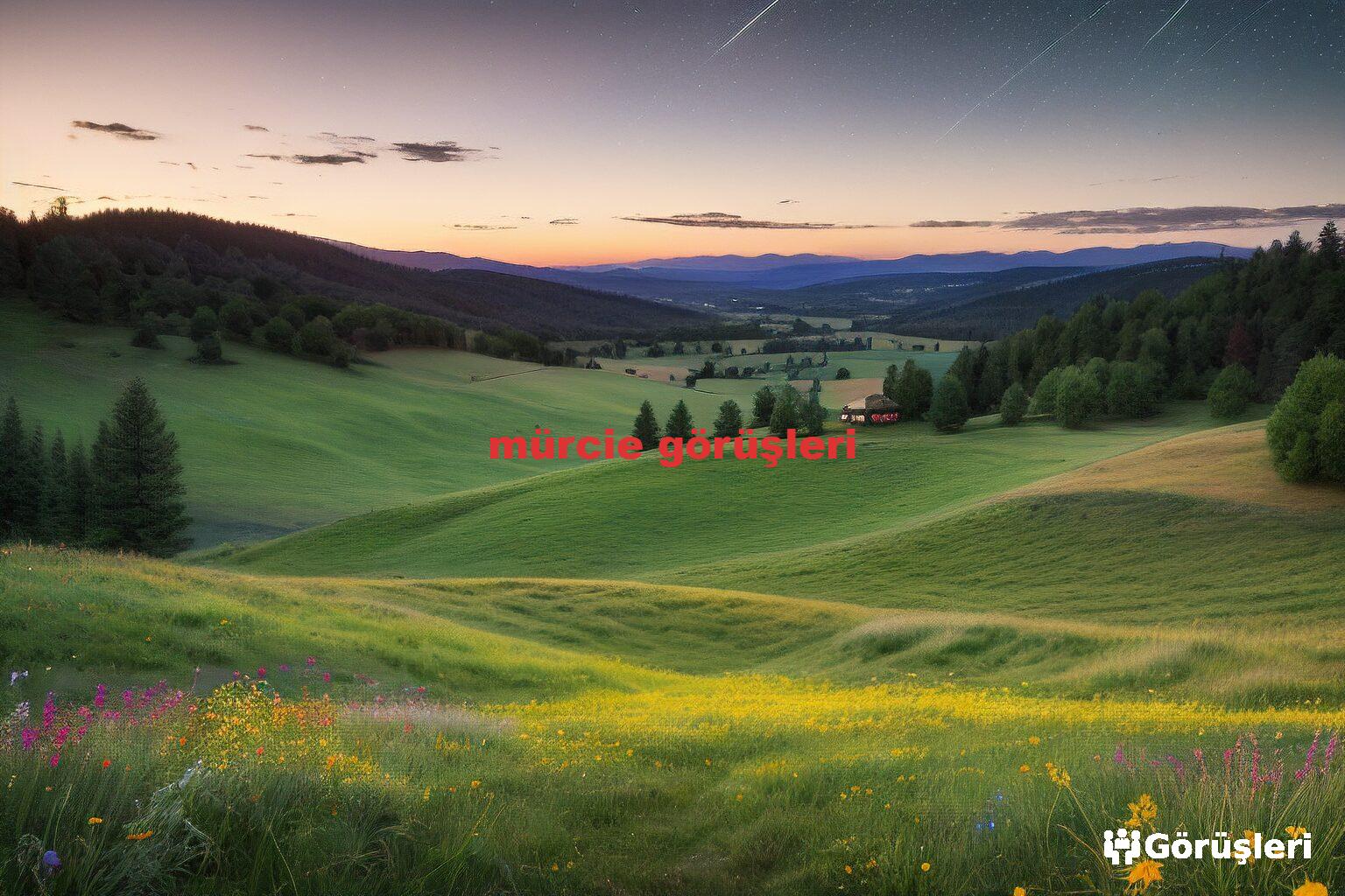 mürcie görüşleri