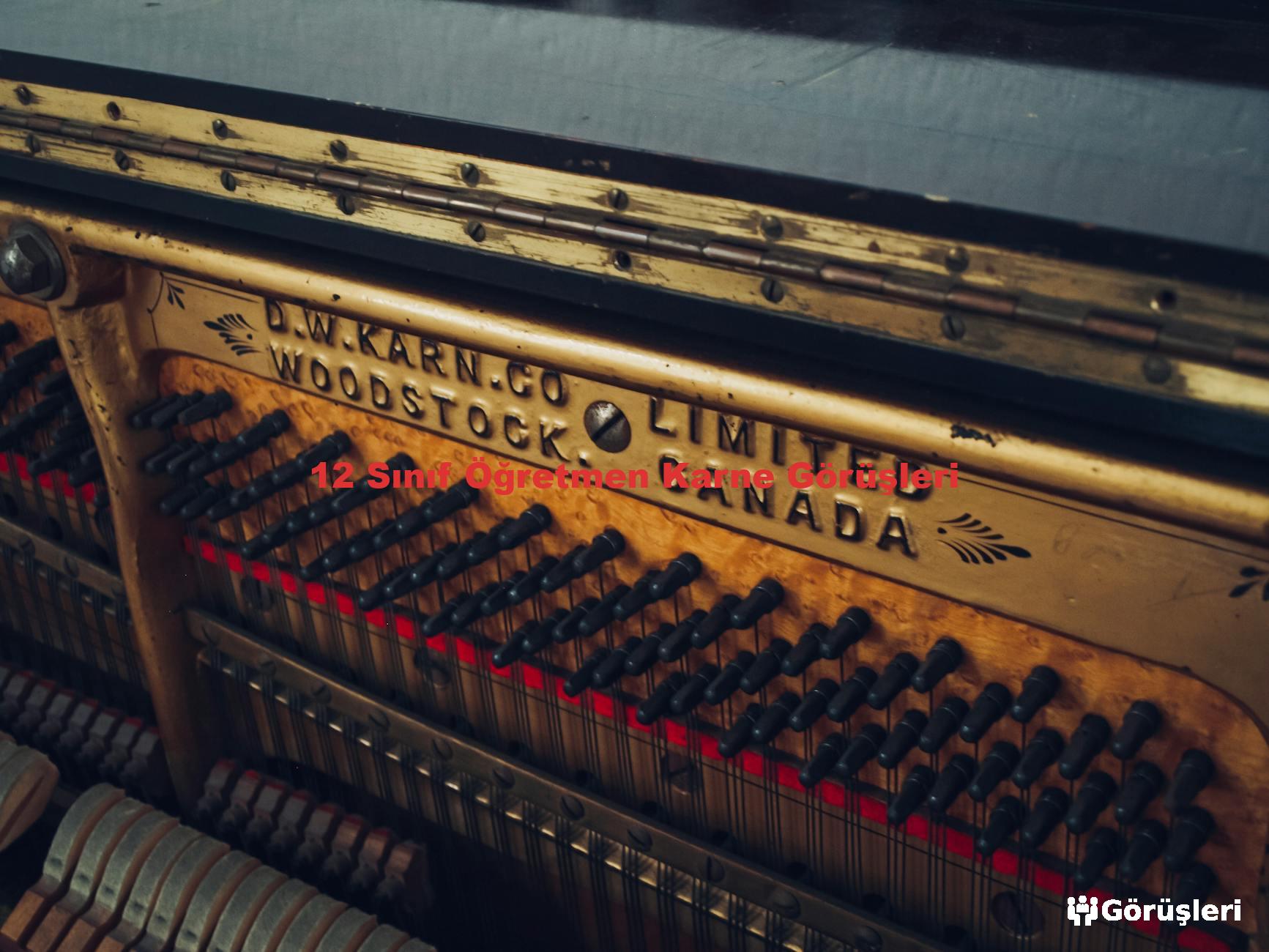 12 Sınıf Öğretmen Karne Görüşleri