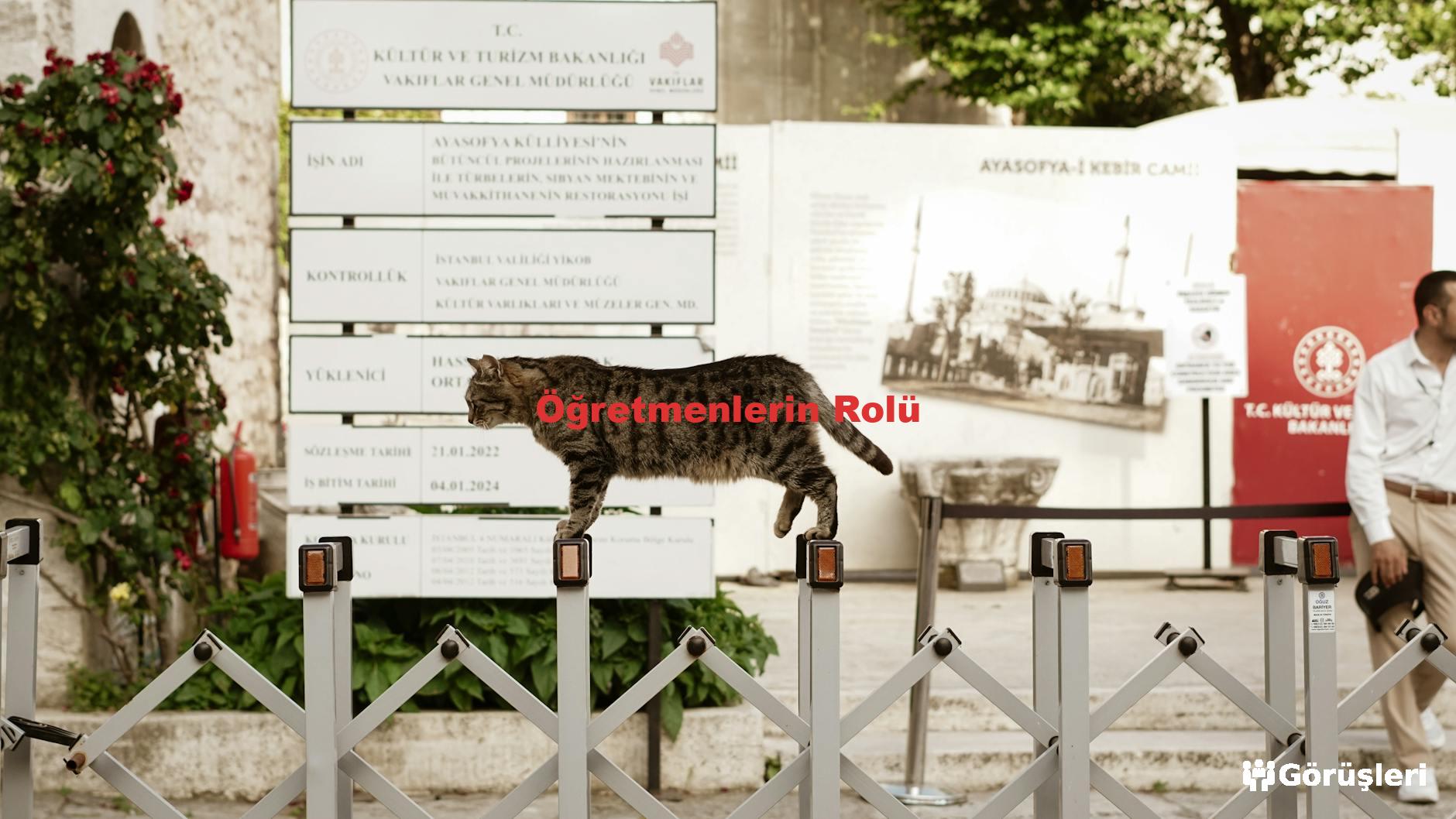 Öğretmenlerin Rolü