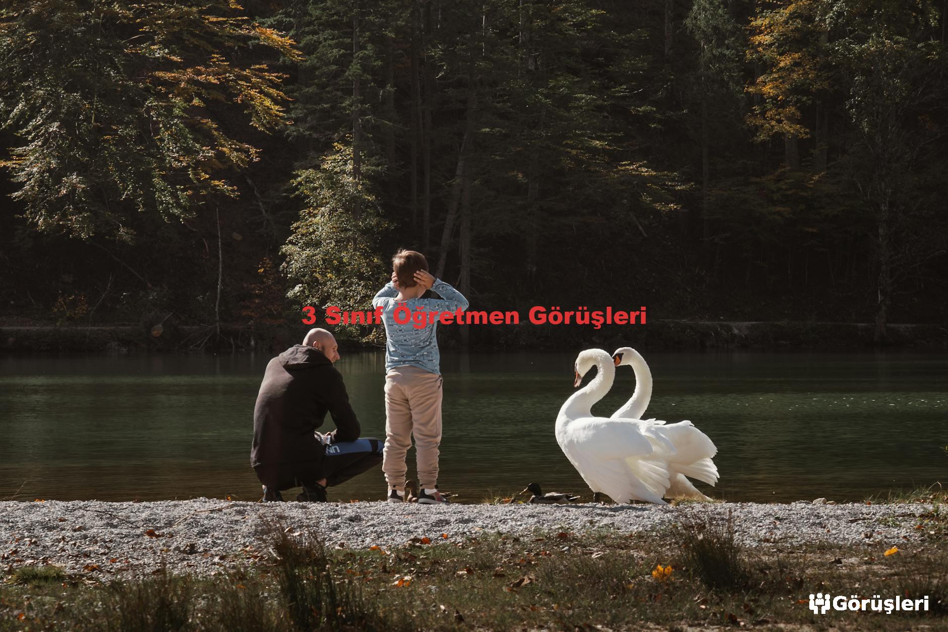 3 Sınıf Öğretmen Görüşleri