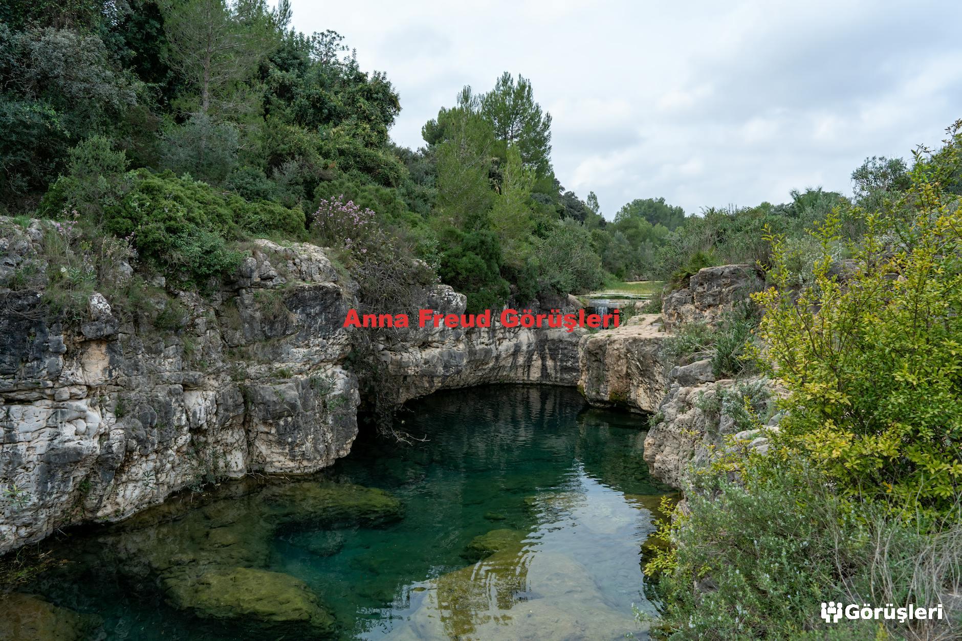 Anna Freud Görüşleri