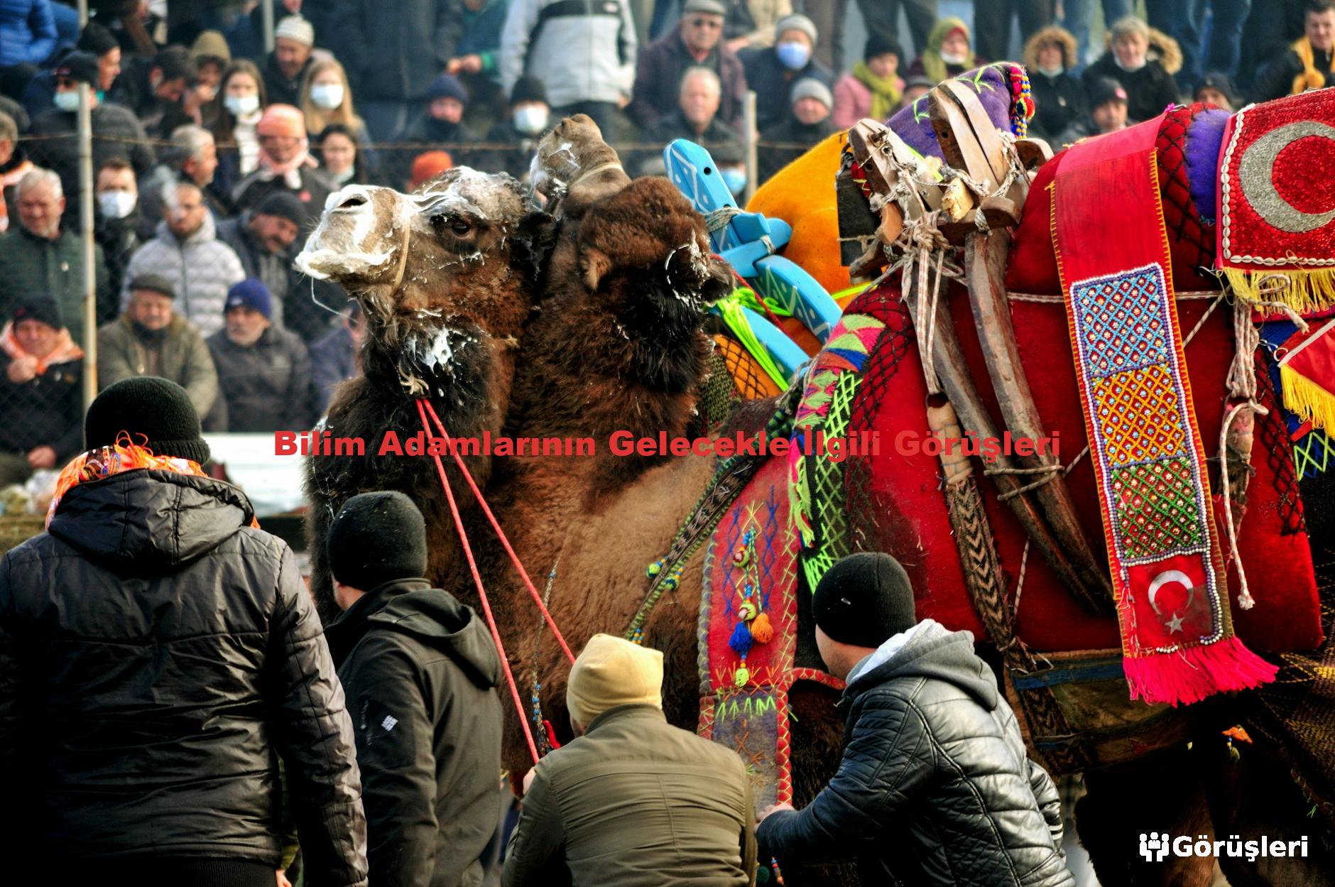 Bilim Adamlarının Gelecekle İlgili Görüşleri