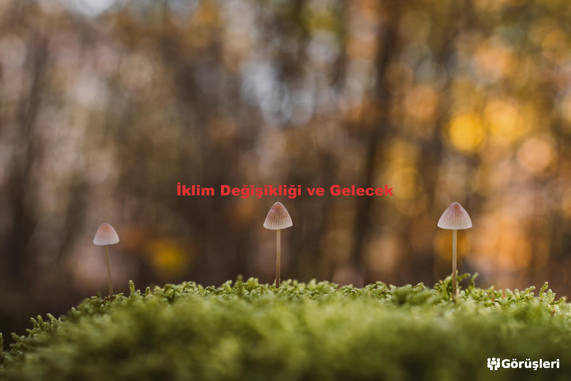 İklim Değişikliği ve Gelecek