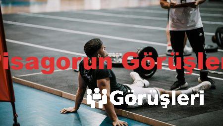 Pisagorun Görüşleri