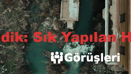 İngilizce Kursu Pendik: Sık Yapılan Hatalar ve Çözümler