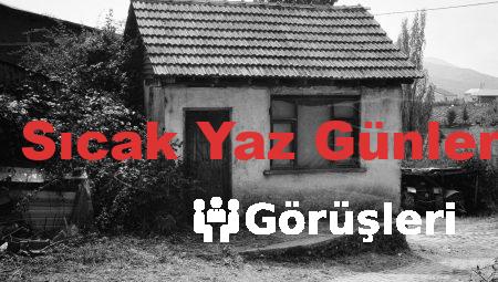 Çilekli Tiramisu: Sıcak Yaz Günleri İçin Ferahlatıcı