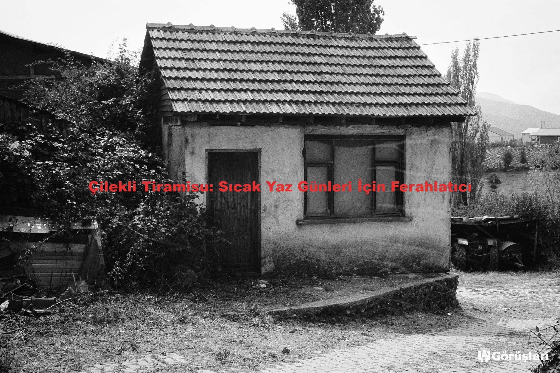 Çilekli Tiramisu: Sıcak Yaz Günleri İçin Ferahlatıcı