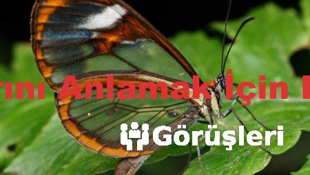 Oto Elektrik Hatalarını Anlamak İçin Bilmeniz Gerekenler