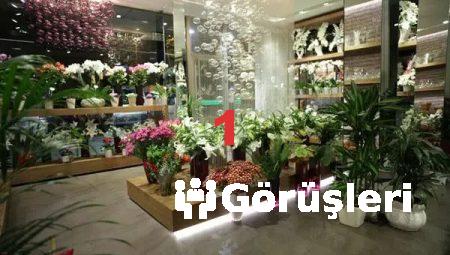 Floksia ile Çiçek Gönderiminde Hızlı ve Güvenilir